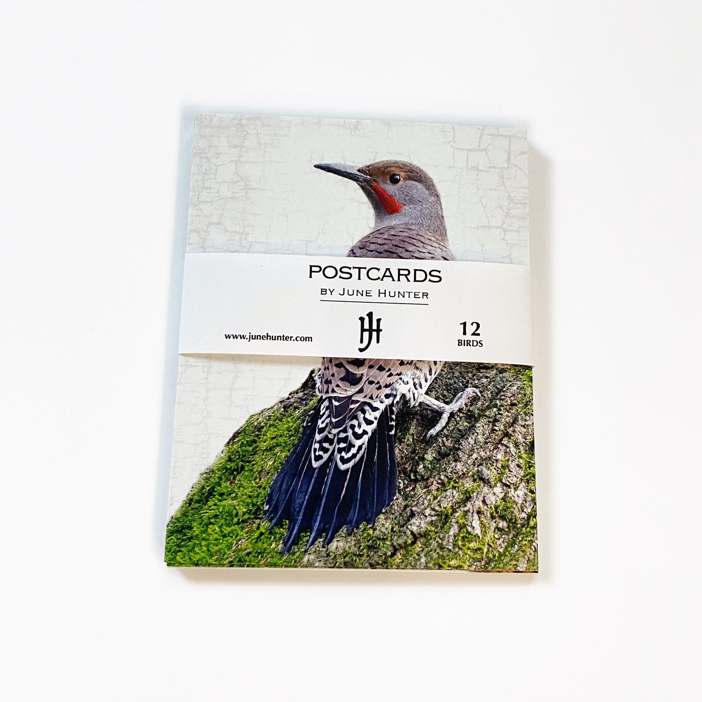 Set of 12 BIRDS Postcards by June Hunter — SALE