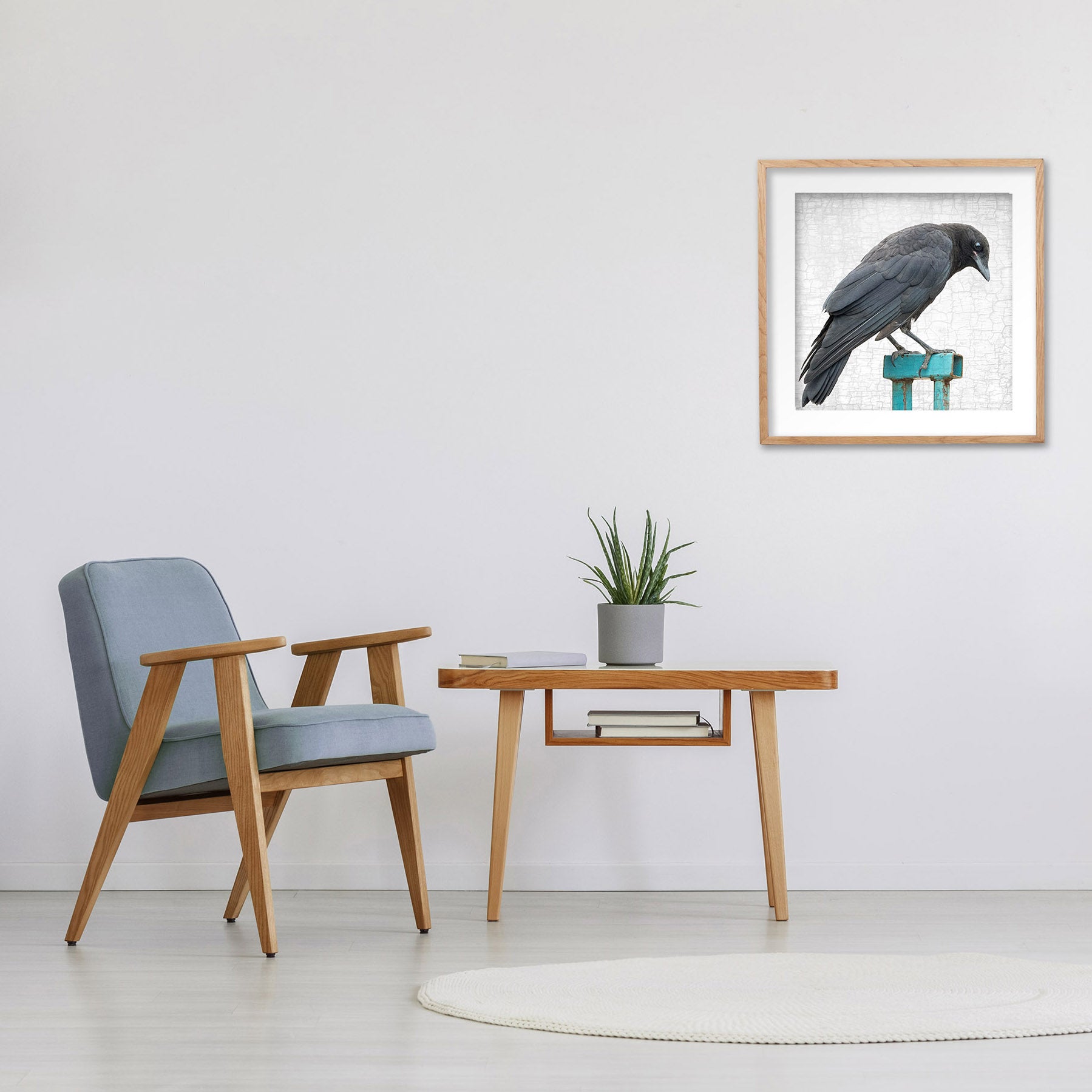 Framed Fledgling Crow