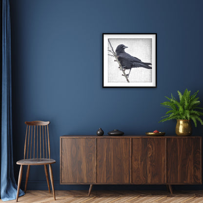 BRANCH CROW - Fine Art Print, Crow Portrait Series
