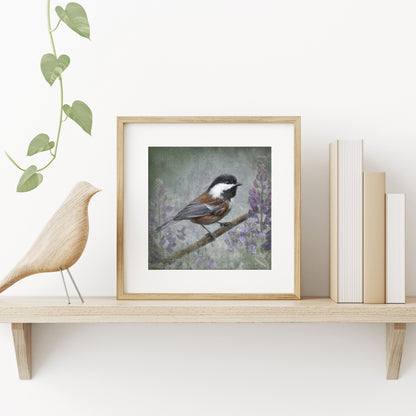 CHESTNUT BACKED CHICKADEE - Fine Art Print, Garden Birds Series