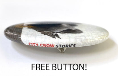 City Crow Stories by June Hunter