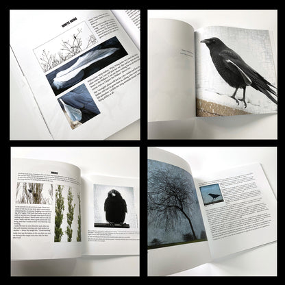 Crows Book Layout