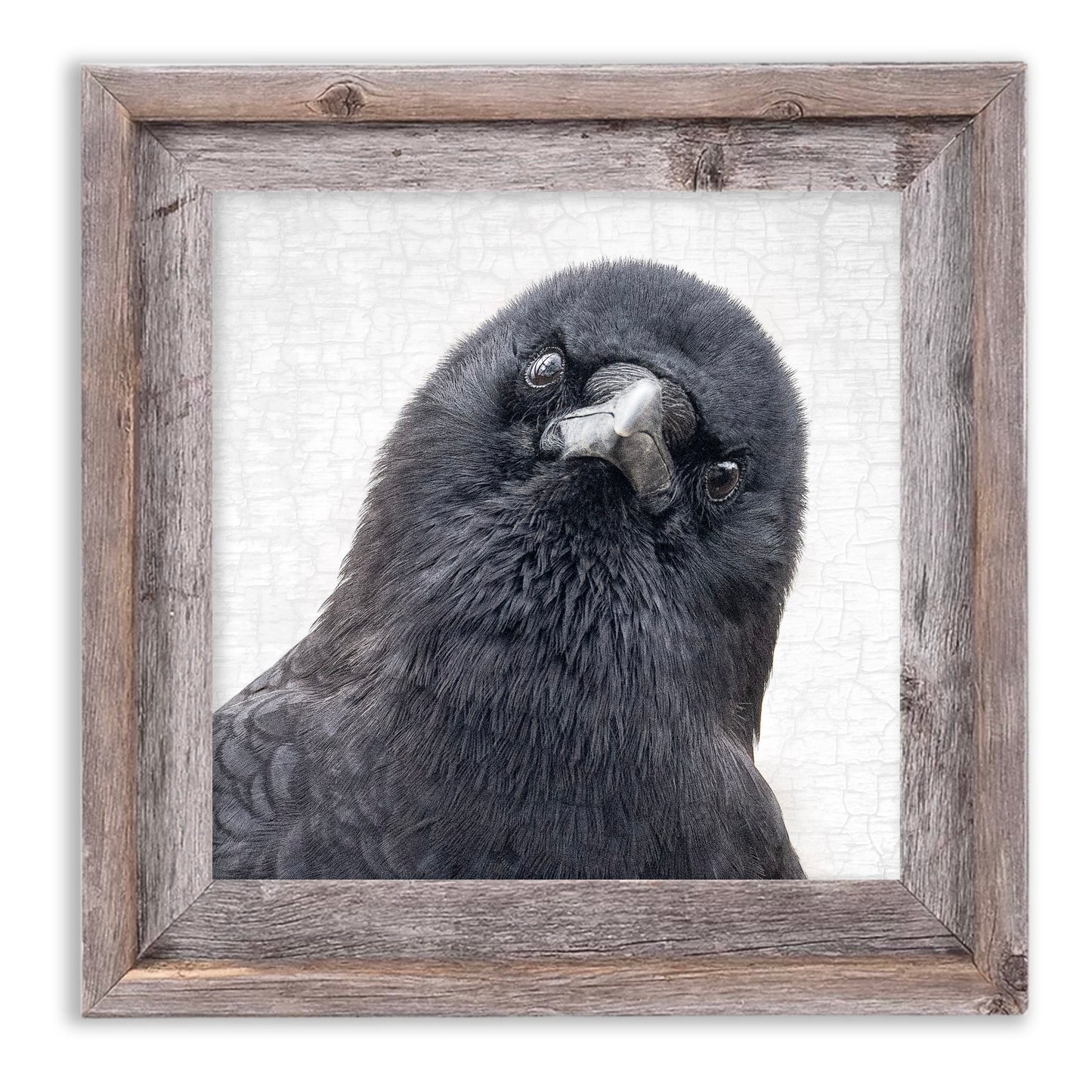 THE WATCHER - Fine Art Print, Crow Portrait Series