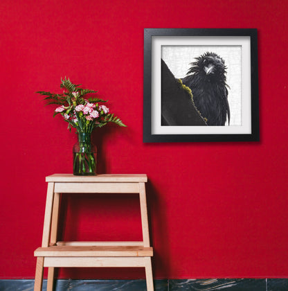 FRAZZLED 2/TOO - Fine Art Print, Crow Portrait Series