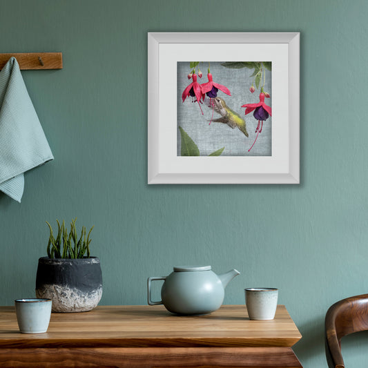 MONTBRETIA HUMMINGBIRD - Fine Art Print, Garden Birds Series