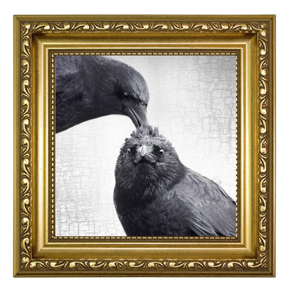 THE HAIRDO - Fine Art Print, Crow Portrait Series