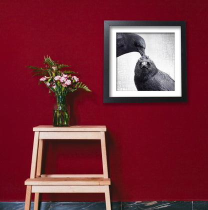 THE HAIRDO - Fine Art Print, Crow Portrait Series