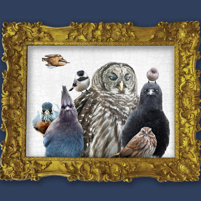 BIRDS OF JUDGEMENT — Fine Art Print, Judgmental Birds Collection