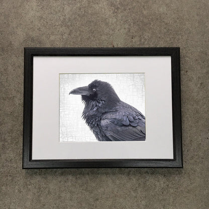 RAVEN REALM - Fine Art Print, Raven Portrait Series