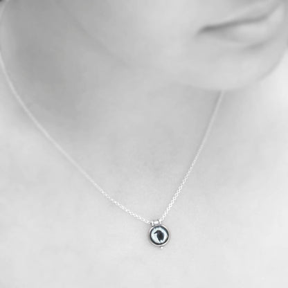 CROW SHADOW - Miniature Pendant, Silver and Resin