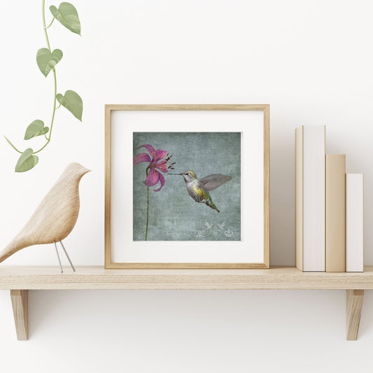 LILY HUMMINGBIRD - Fine Art Print, Garden Birds Series