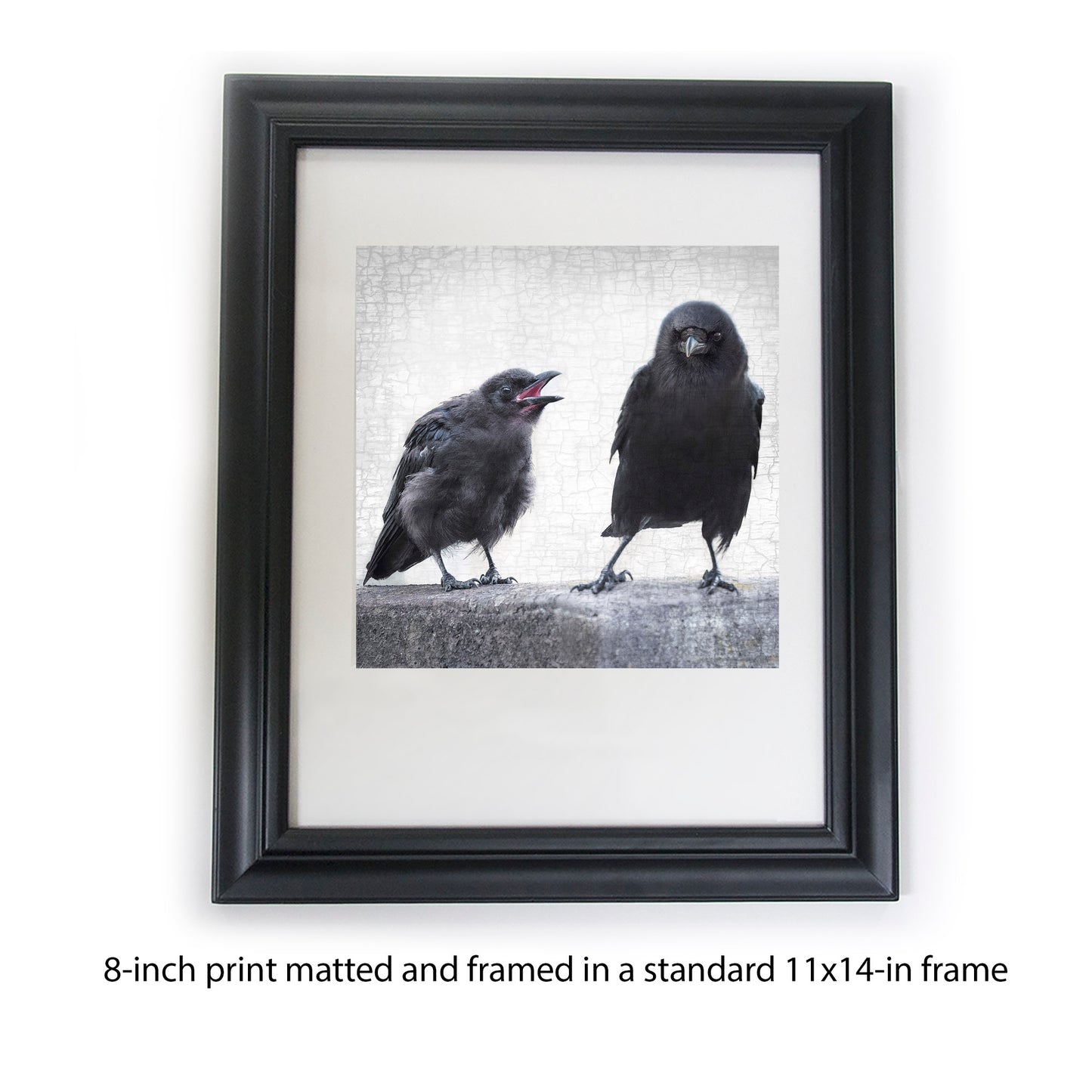 THE ART OF PARENTING - Fine Art Print, Crow Portrait Series