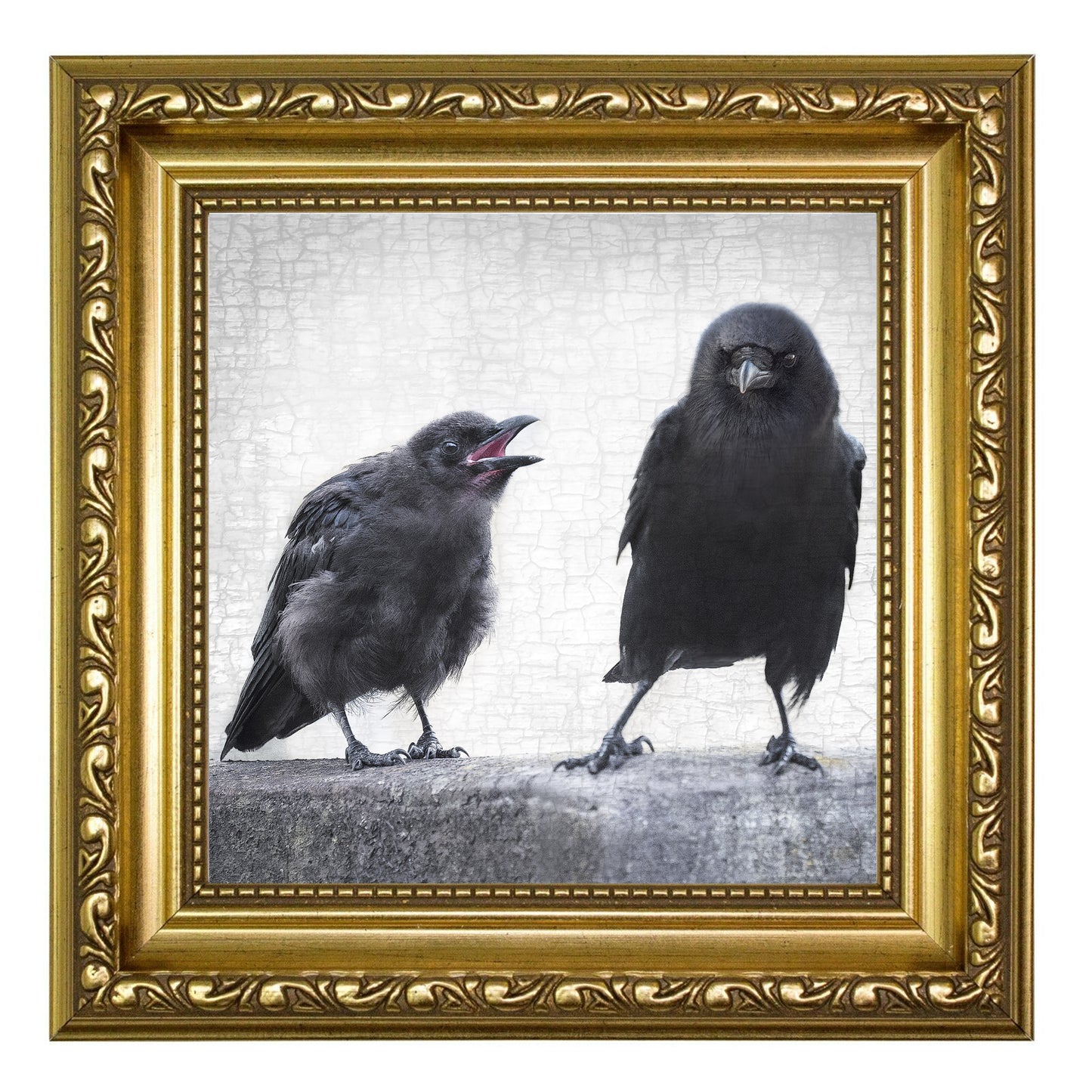 THE ART OF PARENTING - Fine Art Print, Crow Portrait Series