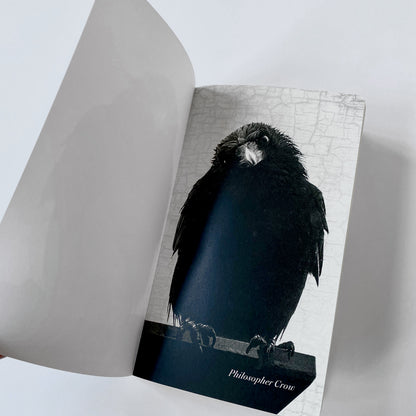 PHILOSOPHER CROW - Small Notebook by June Hunter