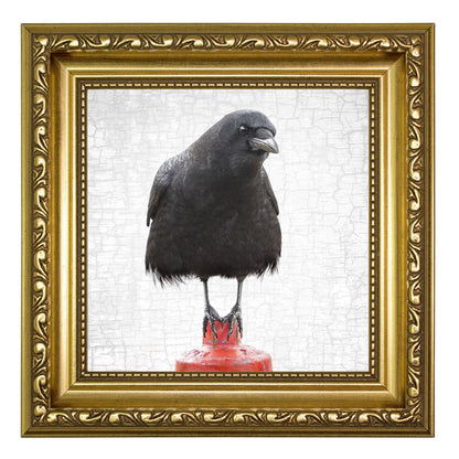 EQUILIBRIUM - Fine Art Print, Crow Portrait Series