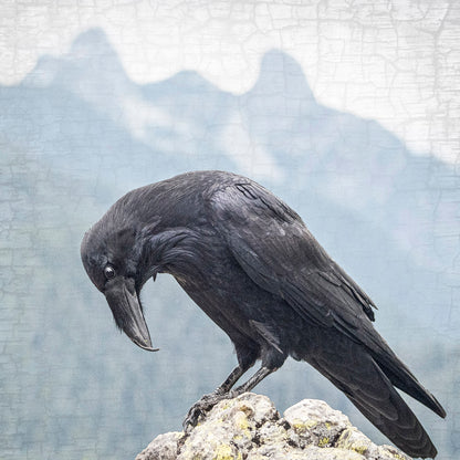 Raven and the Two Sisters - Fine Art Print, Raven Portrait Series
