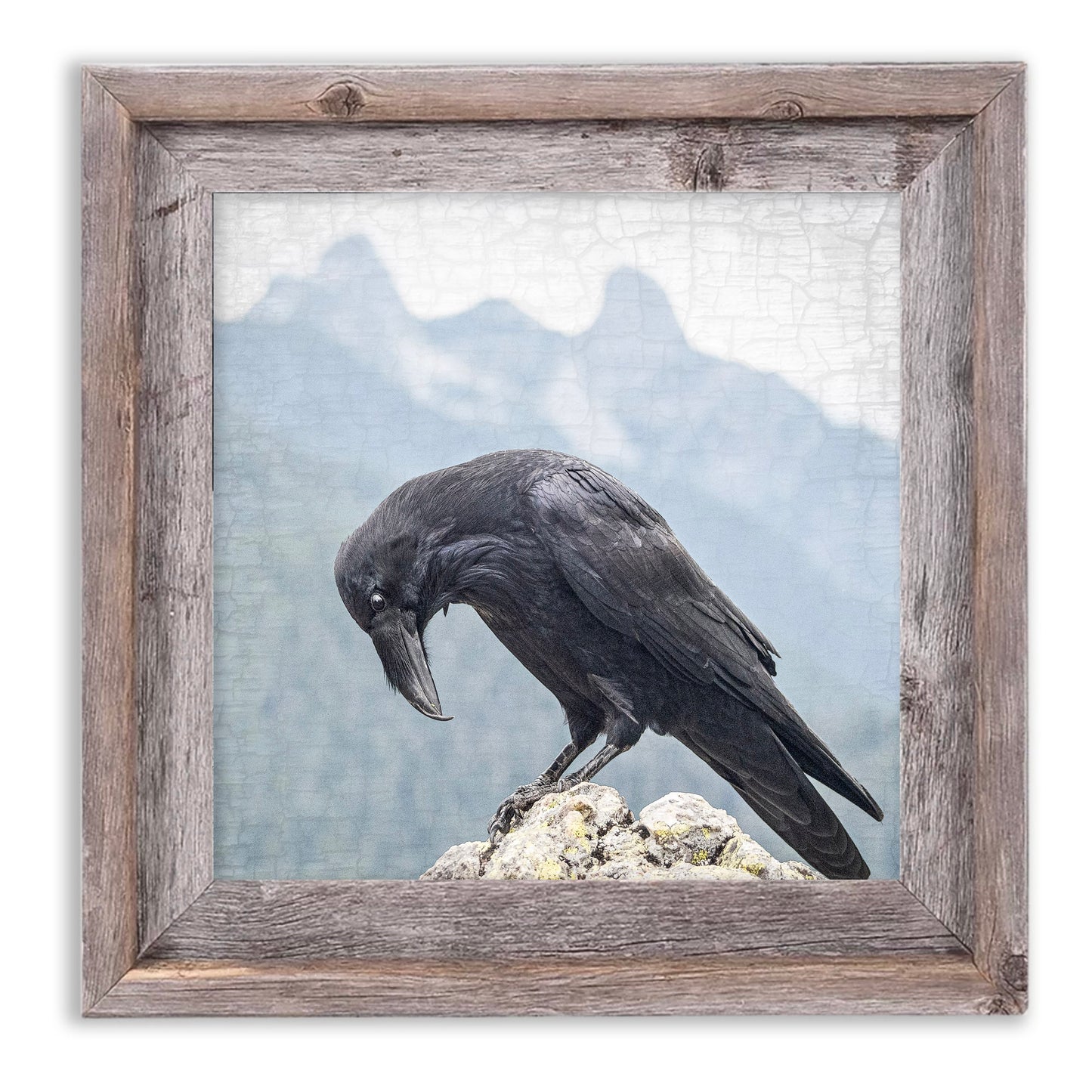 Raven and the Two Sisters - Fine Art Print, Raven Portrait Series