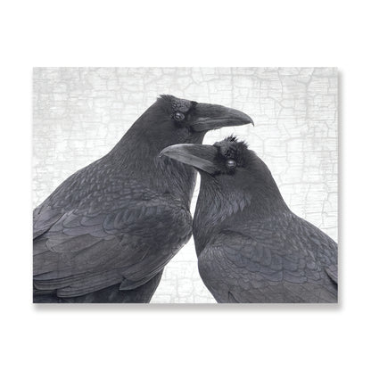 Set of 12 RAVENS Postcards by June Hunter