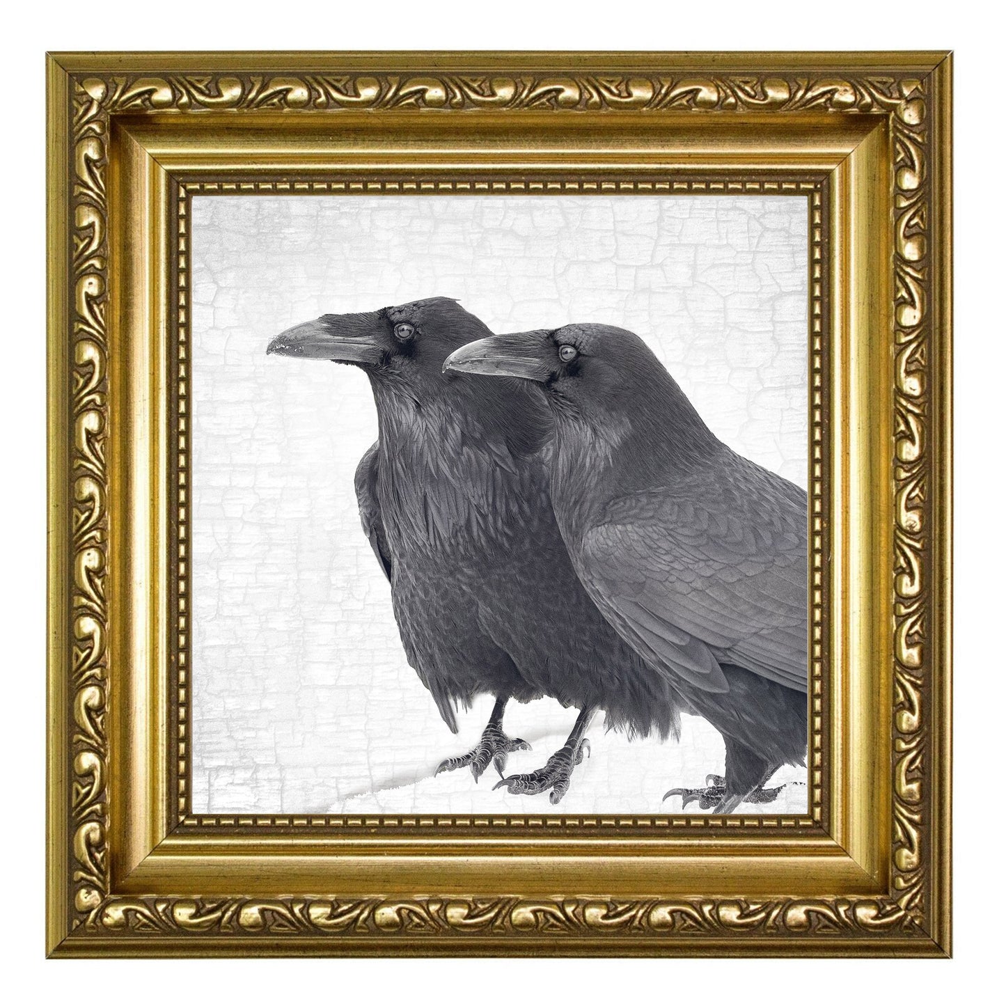 RAVEN COUPLE - Fine Art Print, Raven Portrait Series