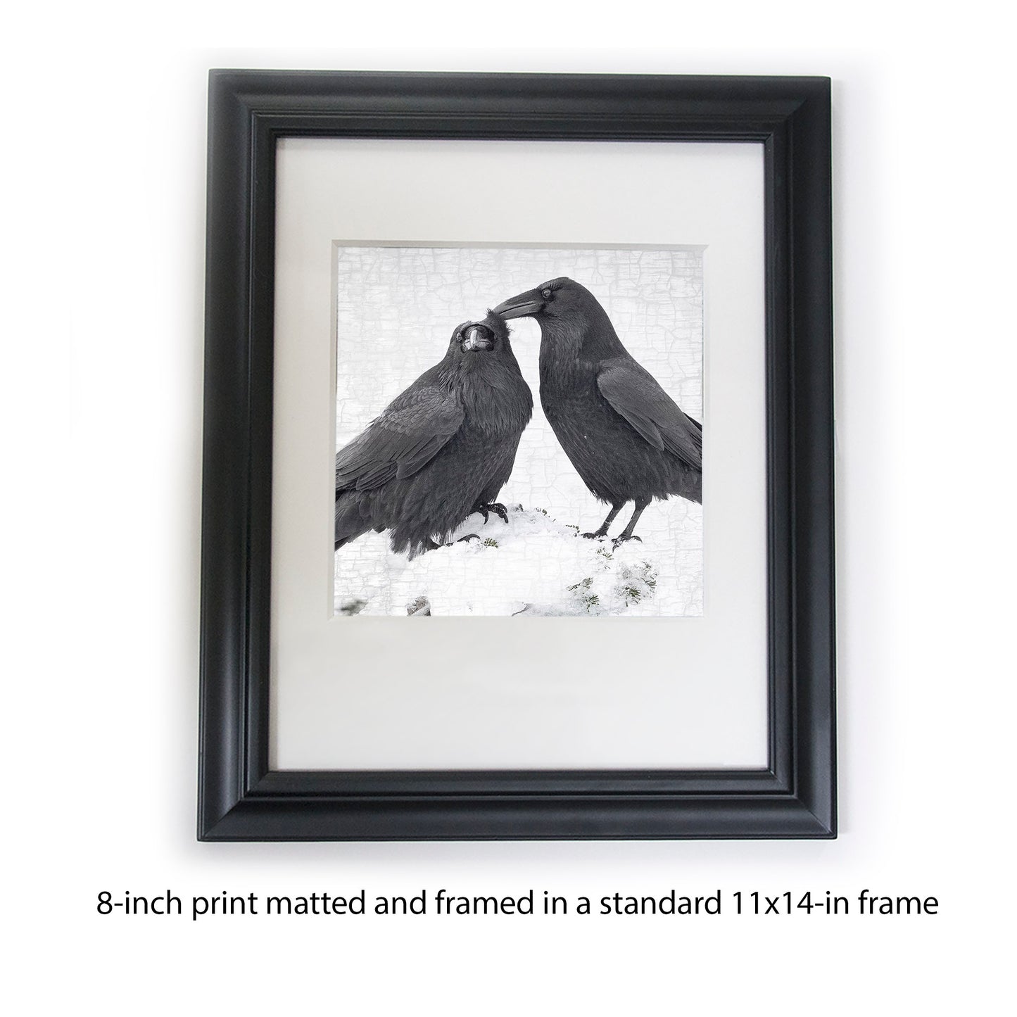 RAVEN LOVE 1 - Fine Art Print, Raven Portrait Series