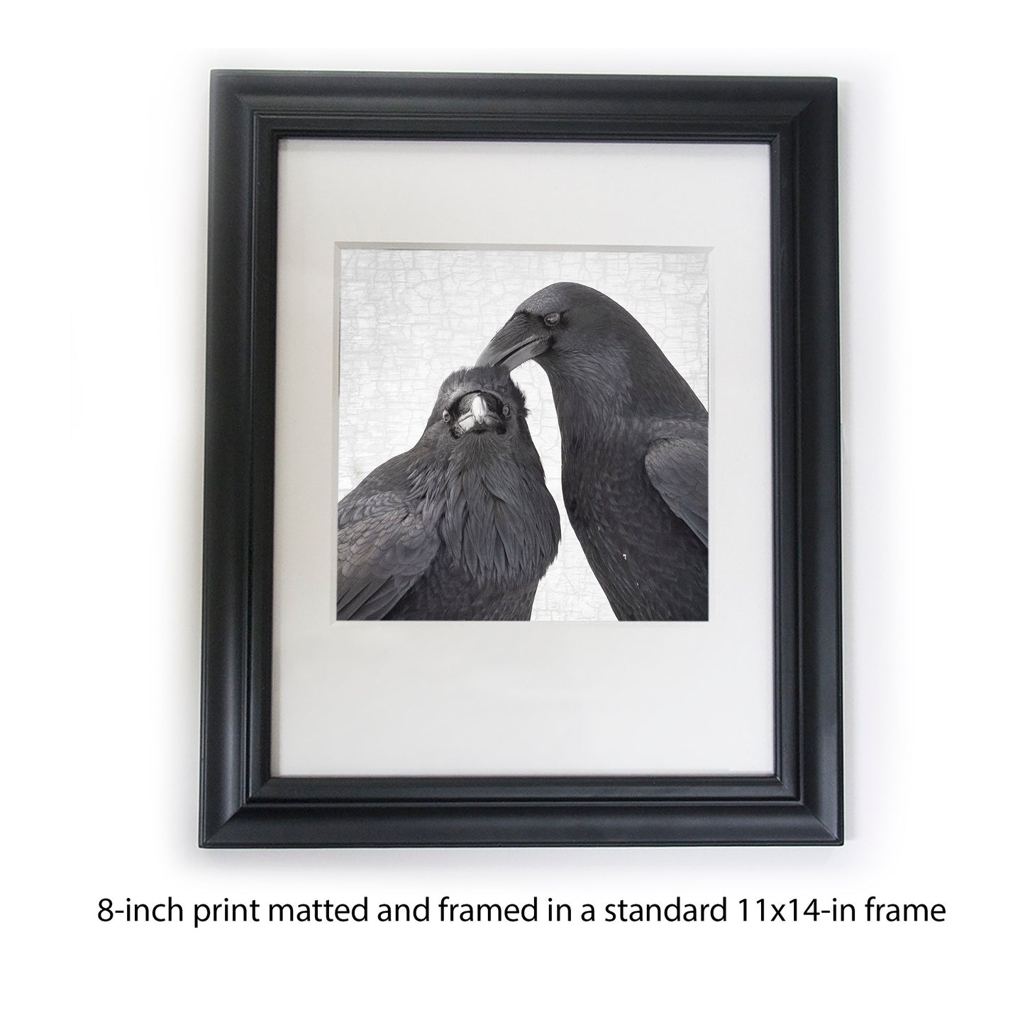 THE RAVEN HAIRDO - Fine Art Print, Raven Portrait Series