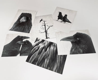 Set of 12 RAVENS Postcards by June Hunter