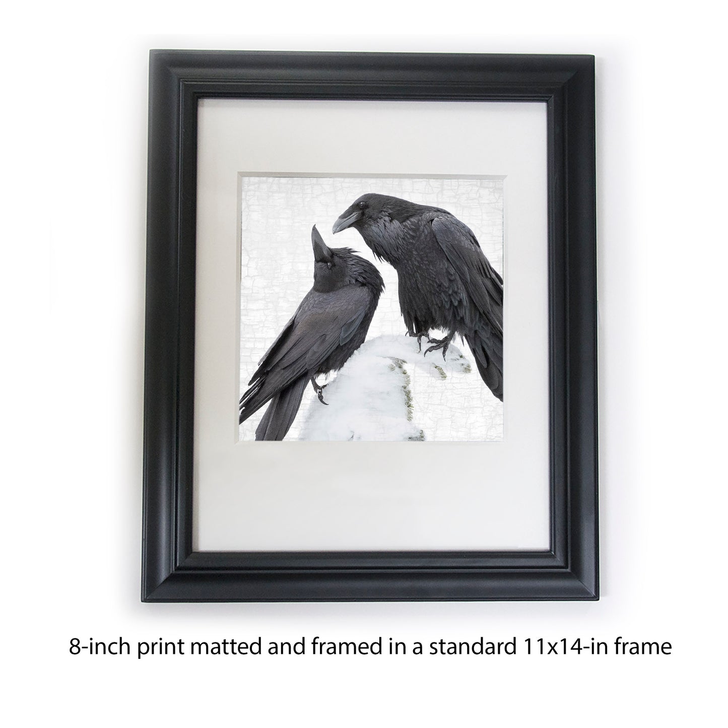 RAVEN TANGO - Fine Art Print, Raven Portrait Series