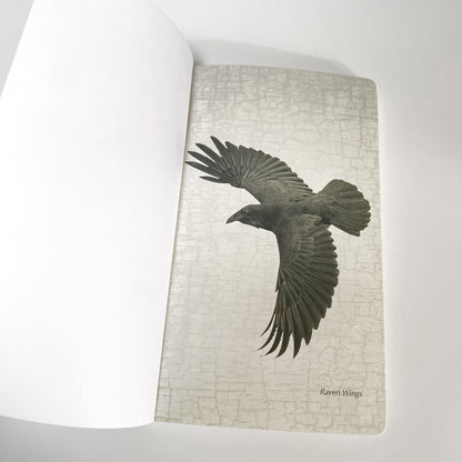 Raven Wings - Notebook by June Hunter