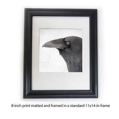 RAVEN BEAUTY - Fine Art Print, Raven Portrait Series