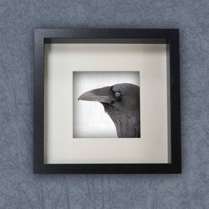 RAVEN BEAUTY - Fine Art Print, Raven Portrait Series