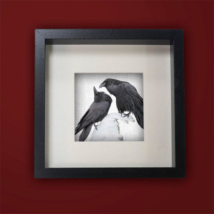 RAVEN TANGO - Fine Art Print, Raven Portrait Series