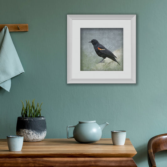 RED WINGED BLACKBIRD - Fine Art Print, Garden Birds Series