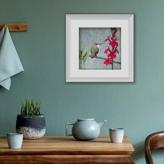 RUFOUS HUMMINGBIRD - Fine Art Print, Garden Birds Series