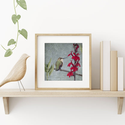 RUFOUS HUMMINGBIRD - Fine Art Print, Garden Birds Series