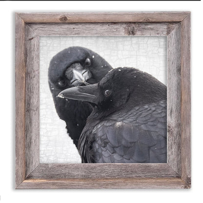 INFINITE CARE - Fine Art Print, Crow Portrait Series