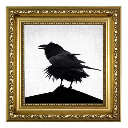 STORM RAVEN - Fine Art Print, Raven Portrait Series