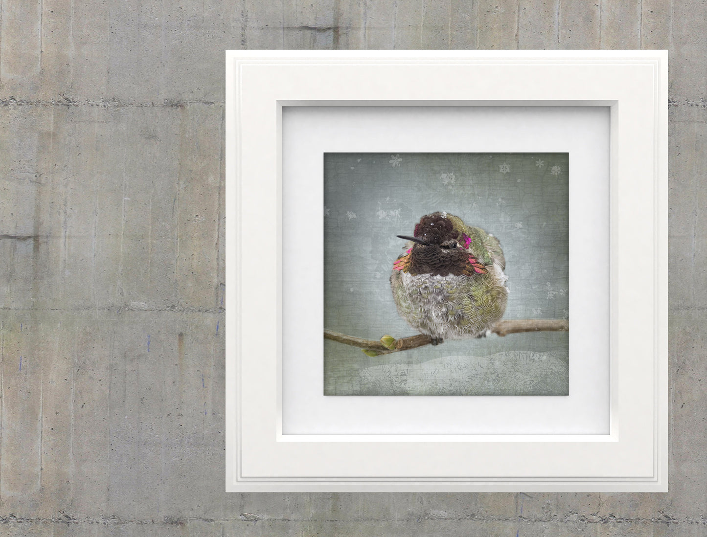 WINTER HUMMINGBIRD - Fine Art Print, Garden Birds Series