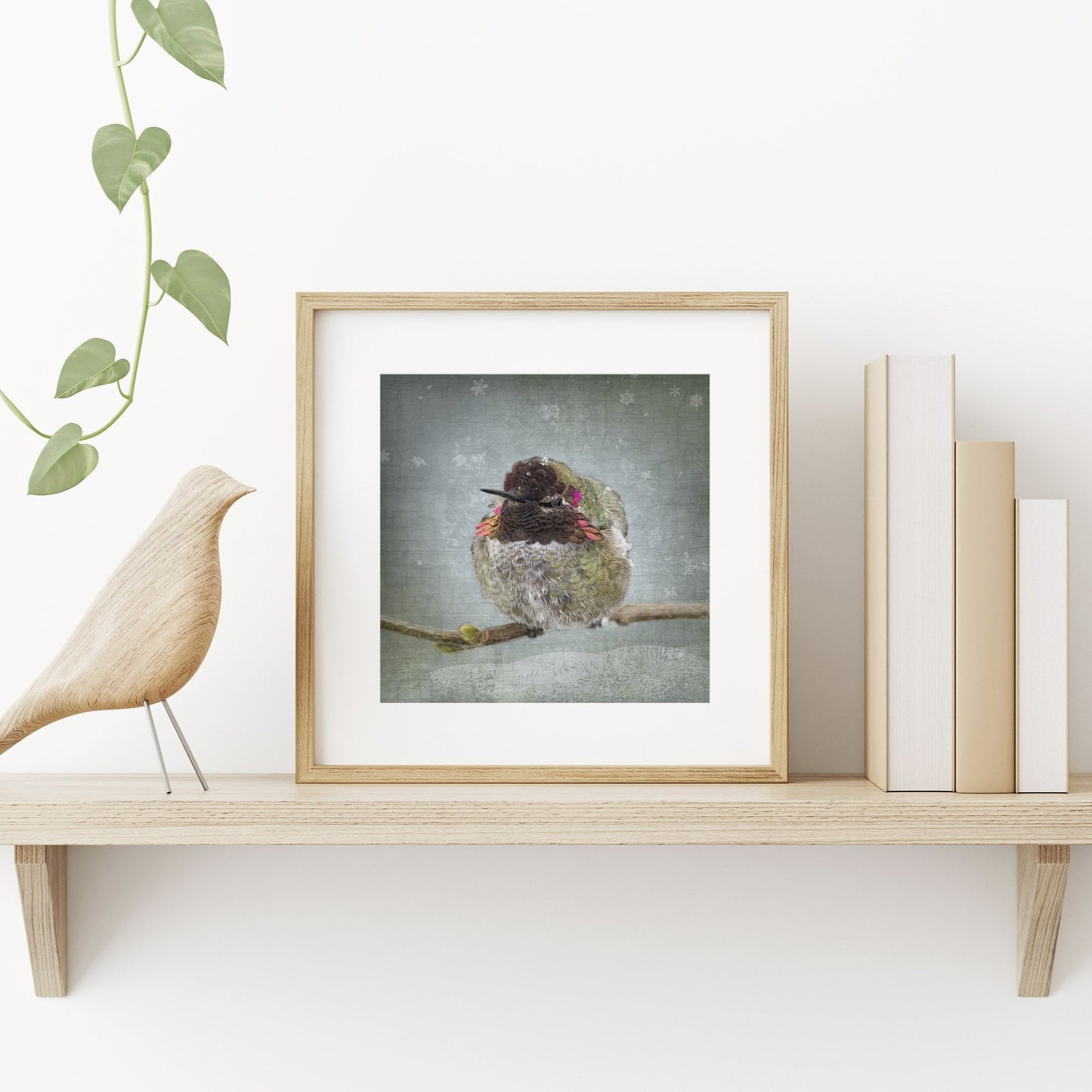 WINTER HUMMINGBIRD - Fine Art Print, Garden Birds Series