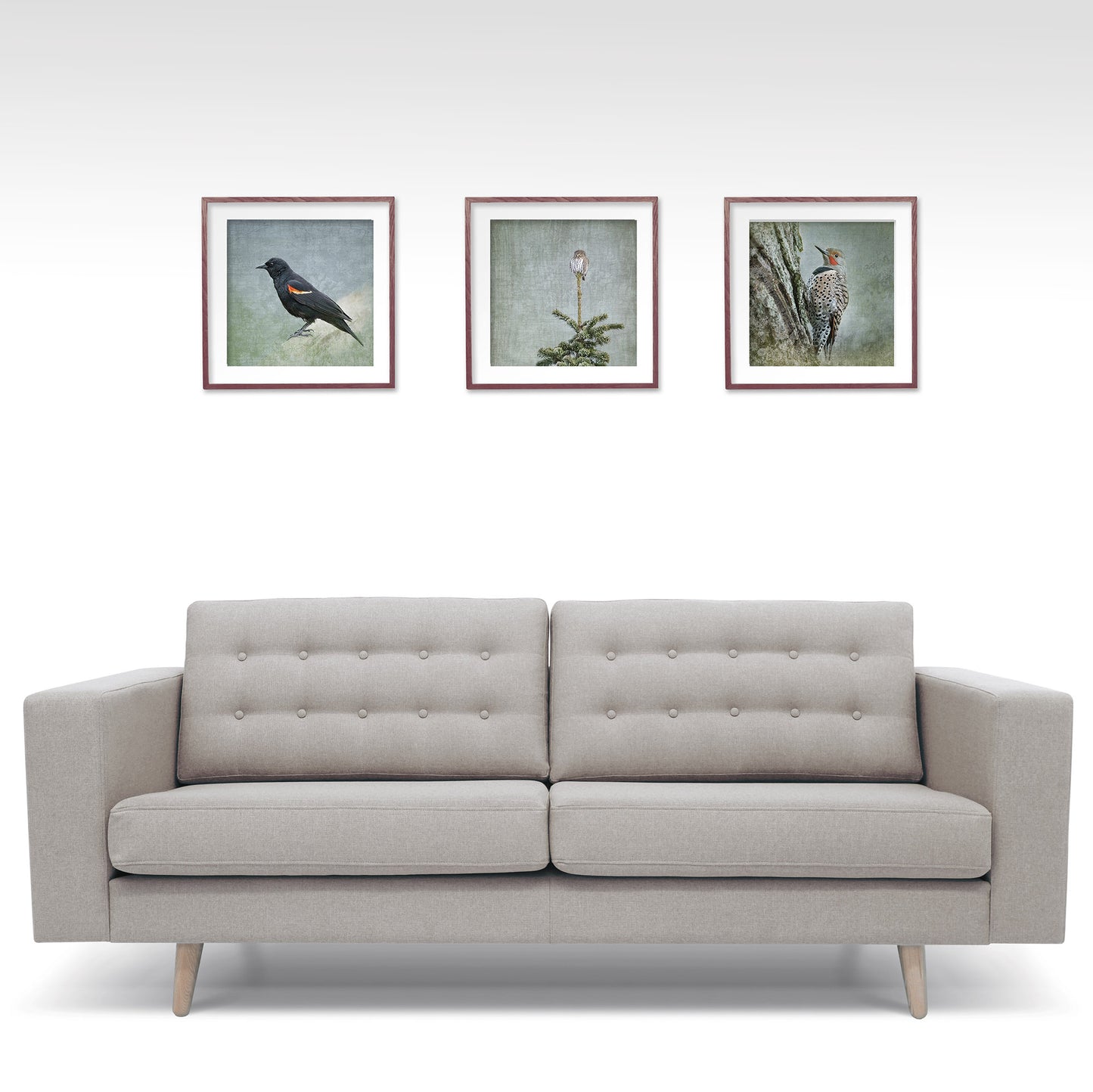 NORTHERN FLICKER - Fine Art Print, Garden Birds Series