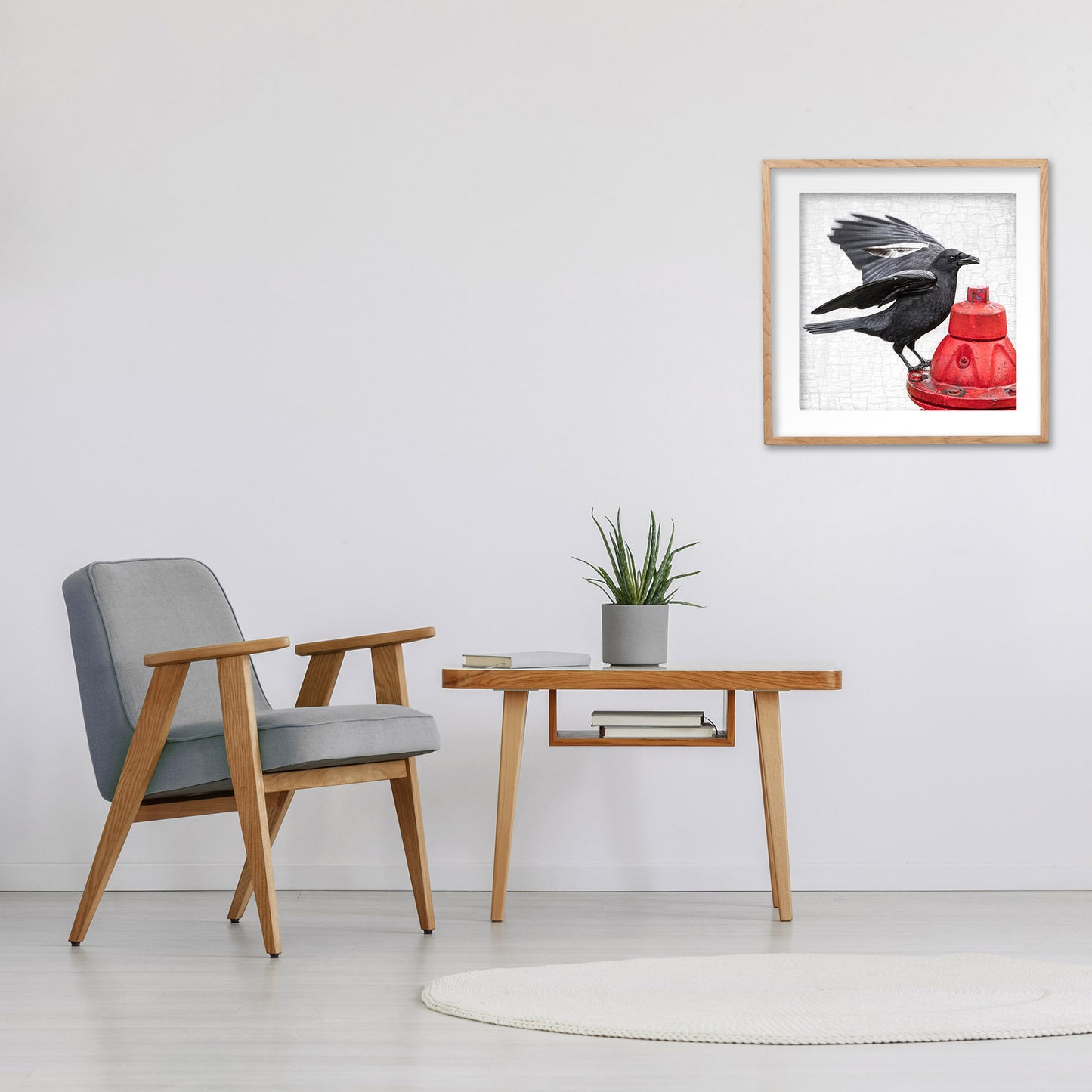 WHITE FEATHER CROW - Fine Art Print, Crow Portrait Series