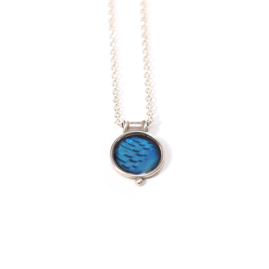 STELLER'S JAY FEATHERS - Miniature Pendant, Silver and Resin
