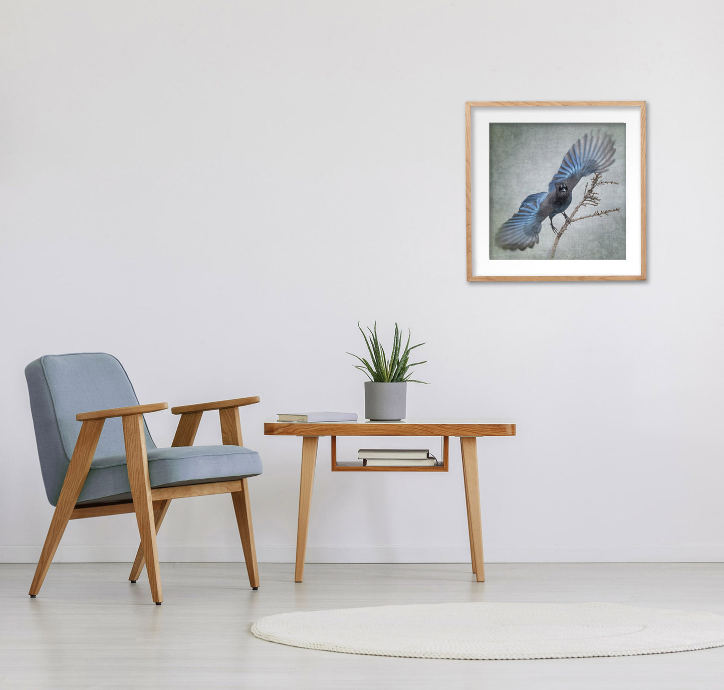 WIDE BLUE YONDER (Steller's Jay) - Fine Art Print, Garden Birds Series