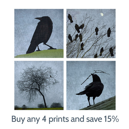 STOPOVER - Fine Art Print, Blue Crow Series