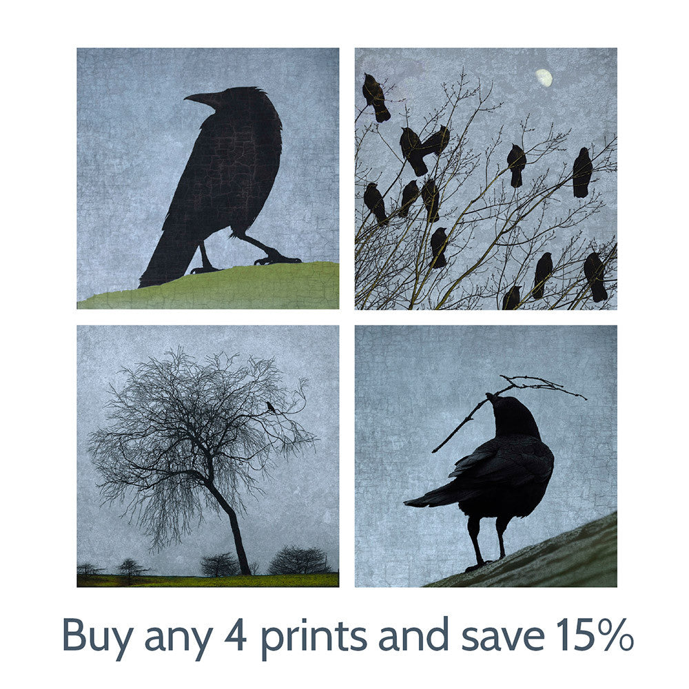 MOONLIT CROWS - Fine Art Print, Blue Crow Series