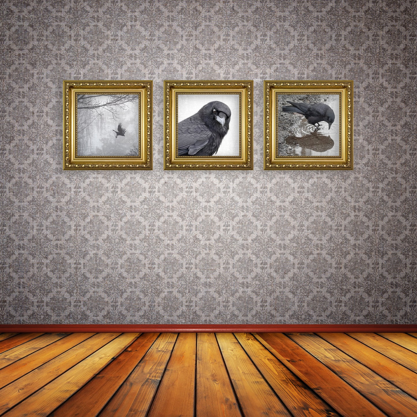 TIME FOR REFLECTION - Fine Art Print, Crow Portrait Series