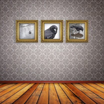 TIME FOR REFLECTION - Fine Art Print, Crow Portrait Series