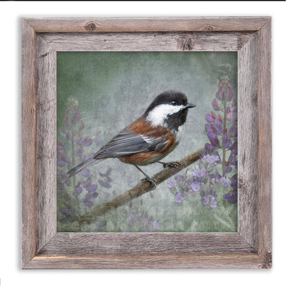 CHESTNUT BACKED CHICKADEE - Fine Art Print, Garden Birds Series