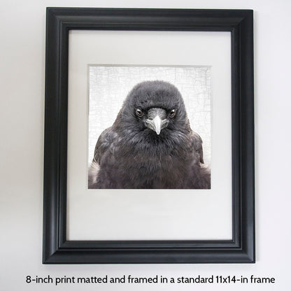 UNDERSTANDING - Fine Art Print, Crow Portrait Series