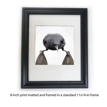 BALANCE - Fine Art Print, Crow Portrait Series