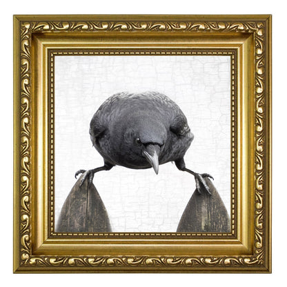 BALANCE - Fine Art Print, Crow Portrait Series